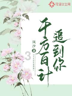 美人鱼游玩