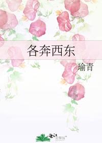 退休逾九年，中电建原董事长范集湘被查